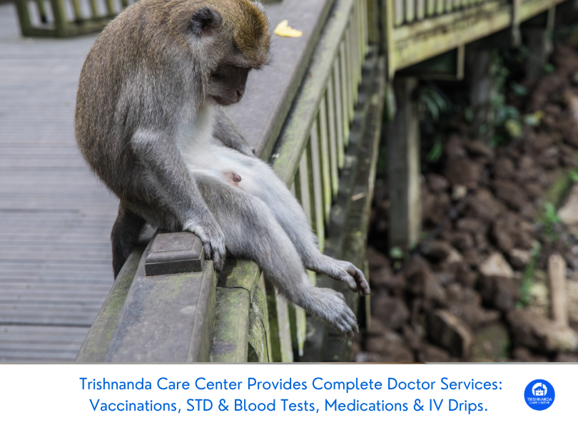 Rabies & Typhoid: Essential vaccinations for Australians in Ubud this Easter