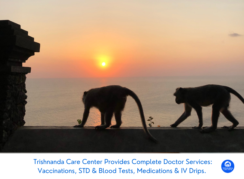 Pre-Flight Hydration: Surviving the Red-Eye from Denpasar to Sydney or Perth