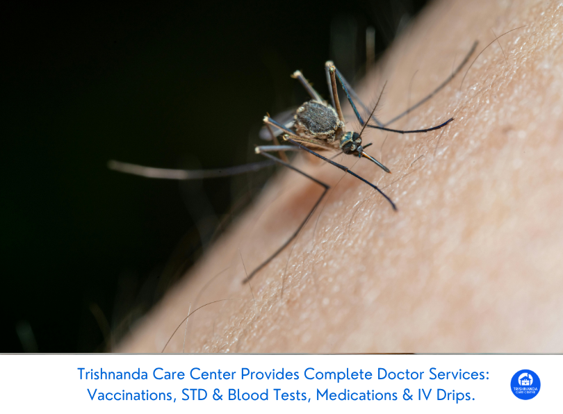 May Mosquito Trends: Why Dengue Risk Remains High as Dry Season Begins