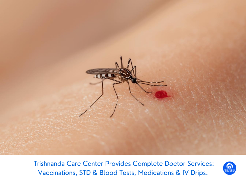 August Dengue Fever Update: Why Dry Season Doesn’t Mean Zero Mosquitoes