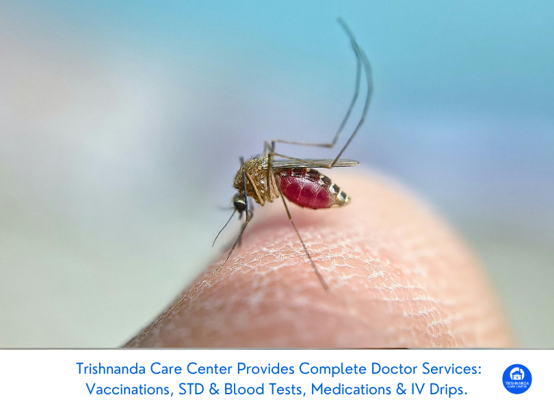 How to Test for Dengue Fever Without Leaving Your Canggu Villa
