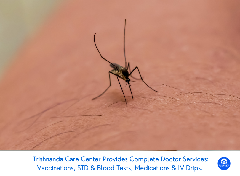 How Common is Dengue Fever in Bali During the Late Dry Season?