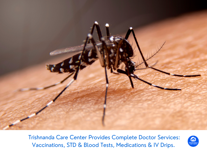 Dengue Watch: Why October Marks the Start of Bali’s High-Risk Mosquito Season in 2026